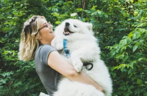 Why Regular Pet Waste Removal in Tampa Bay is Essential for a Clean Yard